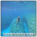 마린 | 오키나와 케라마제도 스노클링 프리다이빙 | 잼마린클럽 내돈내산 후기