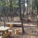 생이소리 이미지