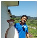 펜션델리앙 이미지