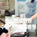 선일초등학교 건너편 | 용인동물병원 수원오즈동물병원에서 건강검진 받은 5살 퐁이 복부초음파 솔직 후기