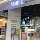 몰리스펫샵 센텀 이미지