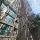 창호 제원 분석이 가져온 변화, 벌레퇴치를 위해 퇴치제 필요 없이 맞이하는 쾌적한 저녁 시간