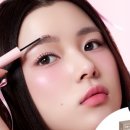 카라소프트 네이버블로그