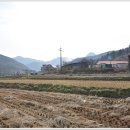 임촌숯가마찜질방 이미지