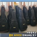 서현중학교 | 서현중학교 콜트AD850 단체 납품후기-[성남/위례/분당/경기광주 종합 악기 판매/수리 성음악기]