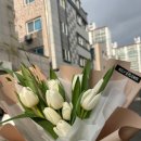 밀리스플라워 - 아산시 서부남로 844 | 밀리스플라워