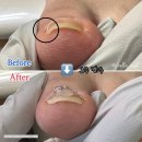 제이벨라네일&오로지푸스 이미지