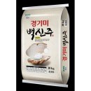 백진주 - 강서구 | 백진주