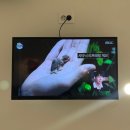 리포윅스슈가링왁싱화성남양점 이미지