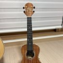 우쿨렐레 | 빅아일랜드 콘서트 우쿨렐레 구입 후기(Big Island KX-CTG, concert ukulele)
