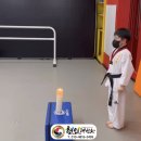 현인태권도 이미지