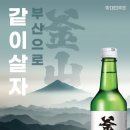 부산 - 수영구 | 부산
