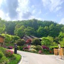 국립백운산자연휴양림 티스토리