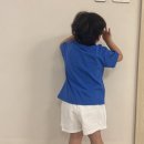 젤리도그 이미지