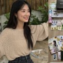 팬사 이미지