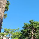 수원-0828 Daum카페