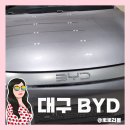 대구전기 | 중국 전기차 BYD 대구전시장 방문후기 &amp; 테슬라 매장