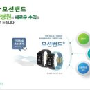 파라웰 이미지