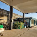 행복낚시(Happy-Fishing) 이미지