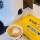 정천초등학교(정자동) 이미지