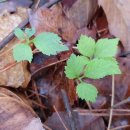 진선미농장 이미지