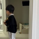 아이비비드 | #내돈내산 26 봄 신상 비비드아이 사이즈 비교 후기 + 팁