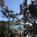 개도중앙1로 이미지