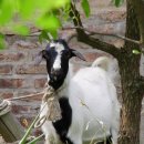 지구농장 이미지