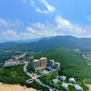 ㈜자광홀딩스 이미지