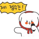 팥순이 이미지