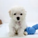 스토리샵 이미지