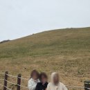 새별문화 | 제주 바람 맞으며 새별 오름 정상에 오르다