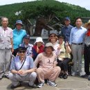 노송아트 이미지