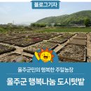 울주군민의 행복한 주말농장, 울주군 행복나눔 도시텃밭