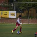 우만초 이미지