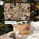 신전떡볶이왜관점 | 왜관 국룰 코스 다음날 후기