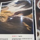 비아포르타 이미지