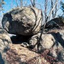 옥포동 산67-7~옥포동 산32-20일원 | 전국일원ㅡ수능 끝나면 기도가 시작된다…기도발 세우러 ‘합격의 숲’으로