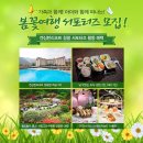 피크닉청평 이미지