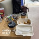 하노이 여행 클룩 하롱베이 투어 드래곤 플라이 1번 루트 후기