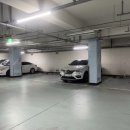 삼환미포씨랜드 이미지