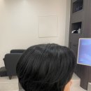 강남-166 이미지
