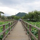 산청에가면 이미지