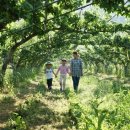 누렁이농장 이미지