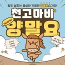엠플러스유통 이미지