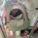 프론트백 | 강아지 백팩 | 쏘오옥(SSOOOK) 프론트백 후기 | 쏘오옥 프론트백 XL
