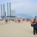 송도해수욕장 이미지