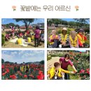 이레힐링 이미지