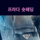 여주-0002 이미지