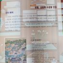 세화회원전 이미지